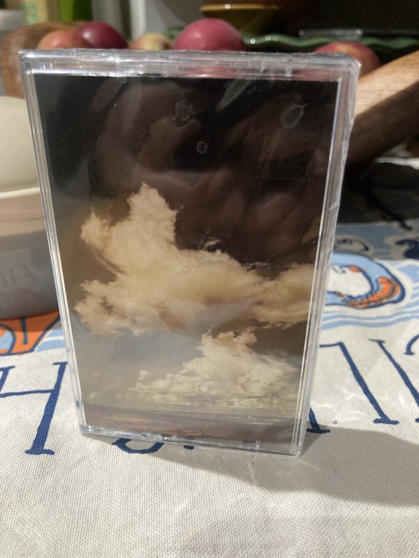 Haunted Mountain Cassette Tape Case